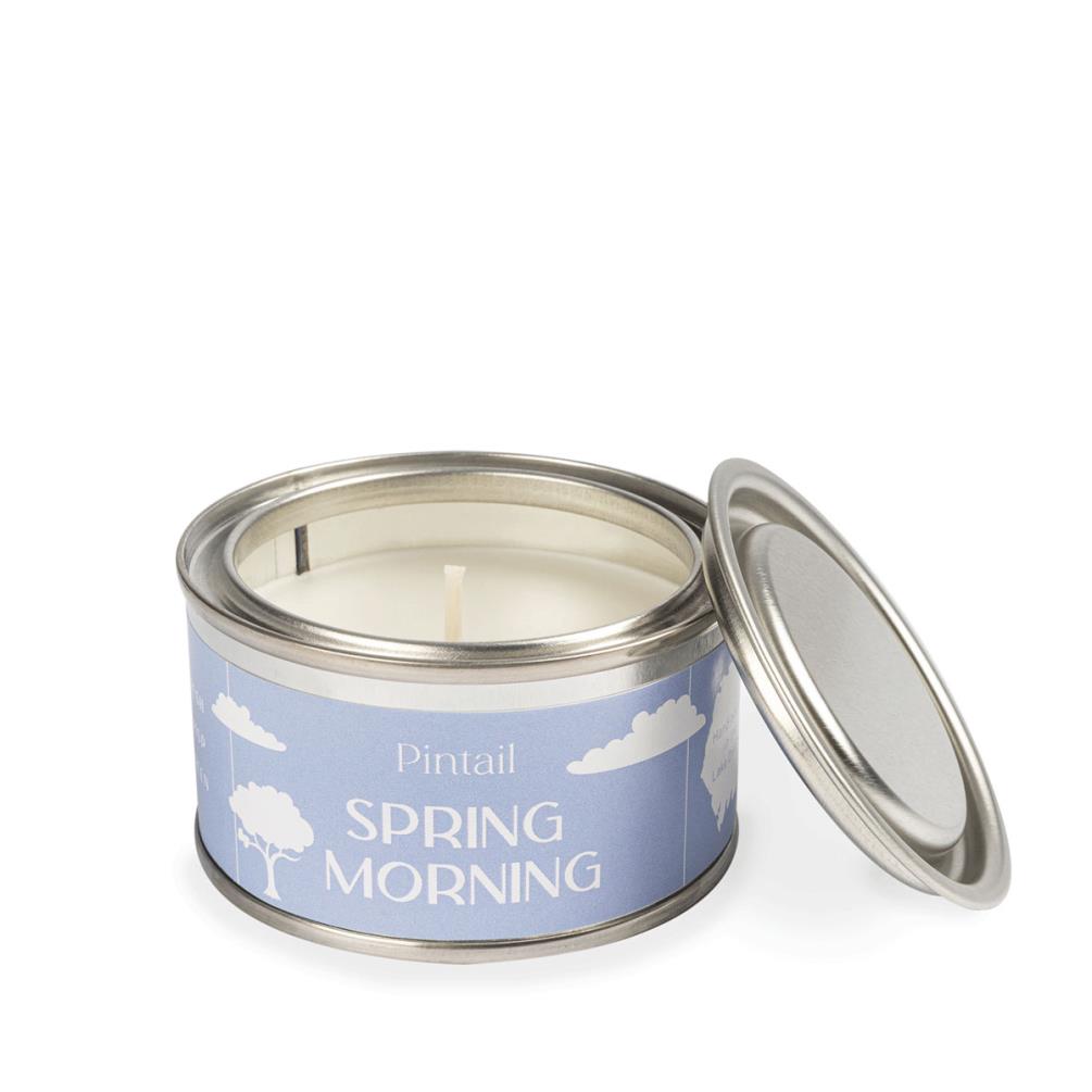 Pintail Candles Spring Morning Paint Pot Candle £5.18